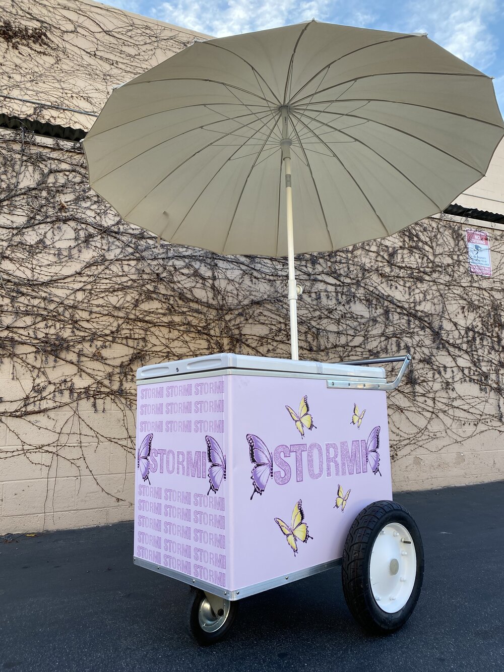 Ice Cream Cart Rentals - My Florida Party Rental