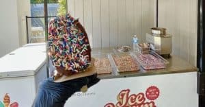 Ice Cream Catering Event In Encino