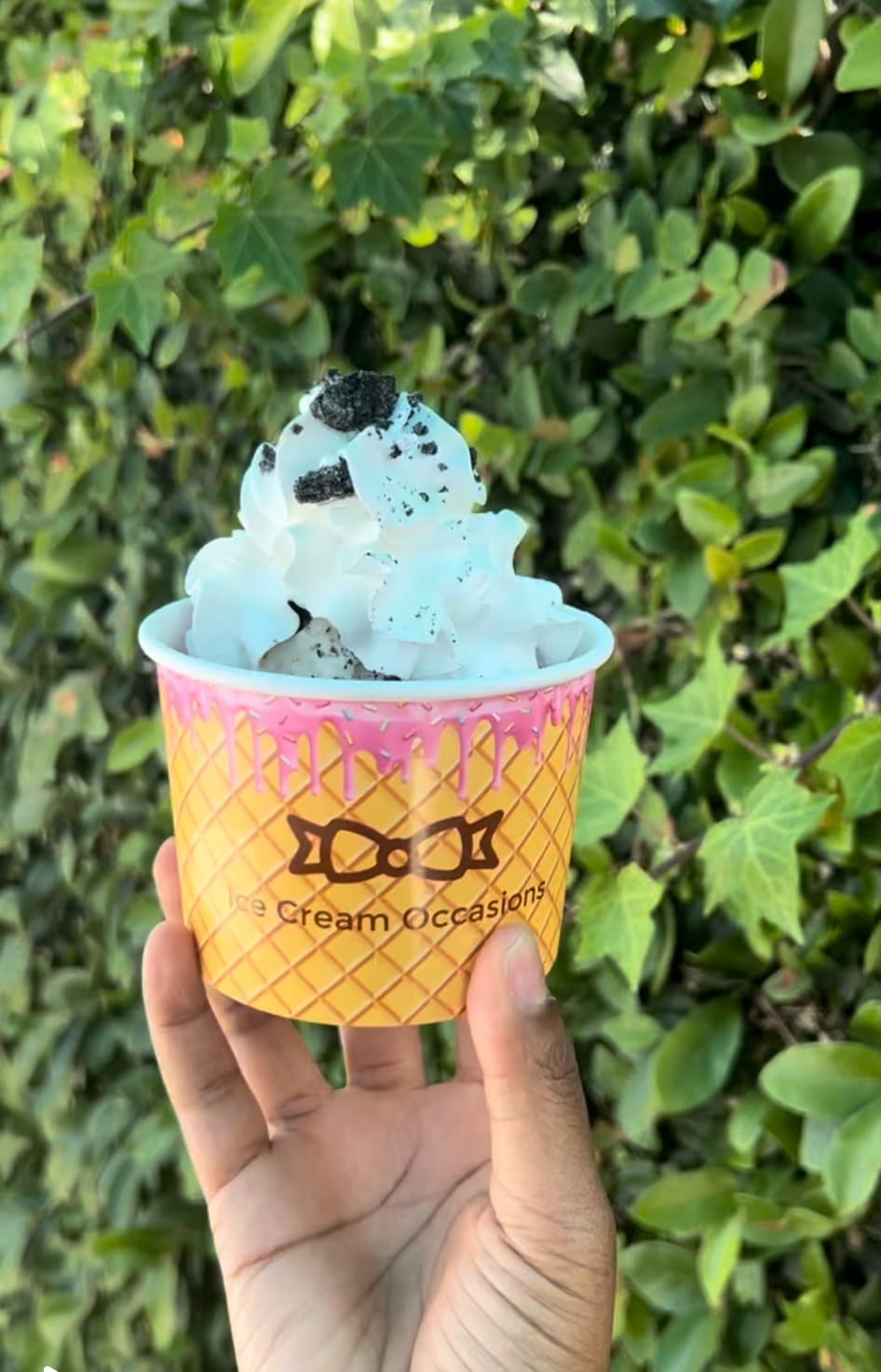 Book Your Ice Cream Catering Services in Rancho Cucamonga