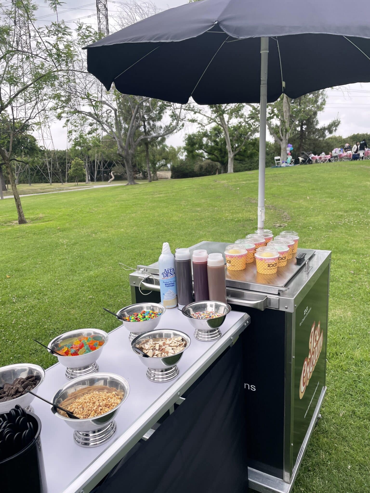 Ice Cream Cart & Truck Catering in Hollywood