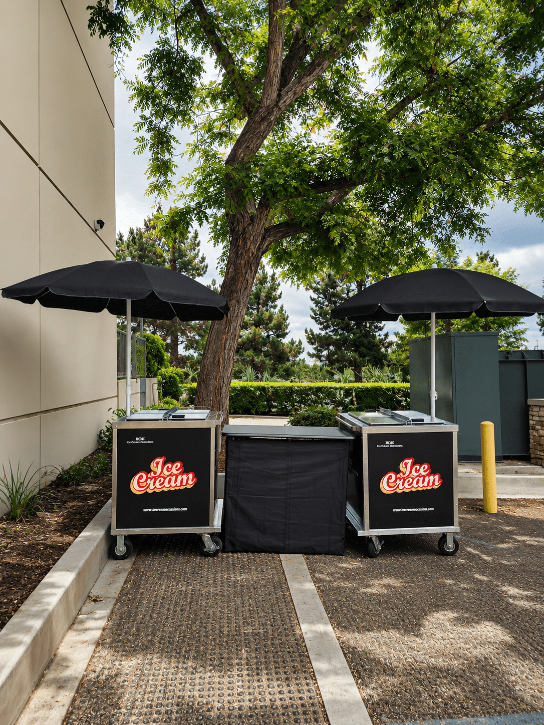 Ice Cream Cart and Truck Catering in Orange County