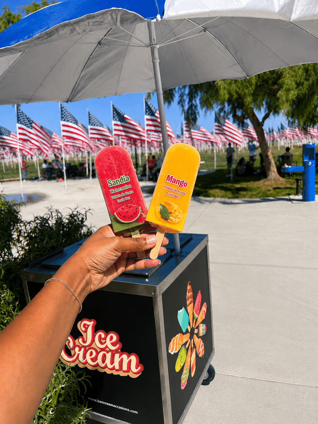 Ice Cream Cart & Truck Rental For Events In Orange County